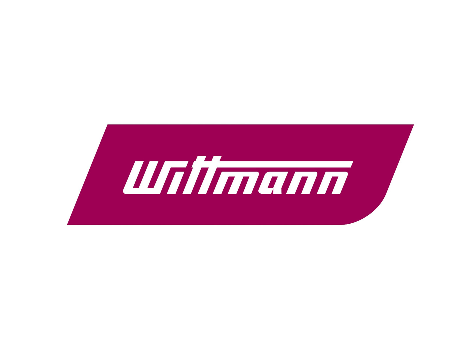 Wittmann Logo Wittmann Logo
